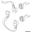 Osculati - Kit straps for SUP and gangway - 42.366.00 product image