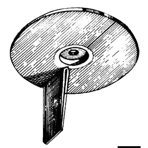 Osculati - Zinc anode for Yamaha/Mariner 20/50 HP - 43.256.00 product image