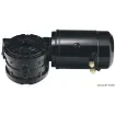 Osculati - LEWMAR oversized gearmotor - 68.142.12 product image