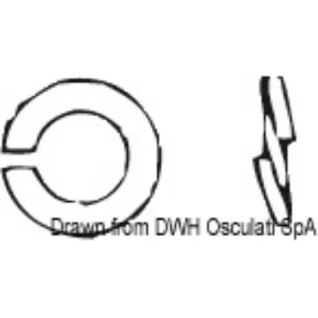 Osculati - GROWER washer 10 AISI 304 GROWER10 - A2-127-10 product image