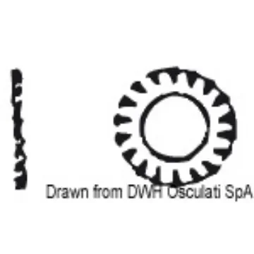 Osculati - Serrated lock washer 10 AISI 304 DENT10 - A2-6798-10 product image