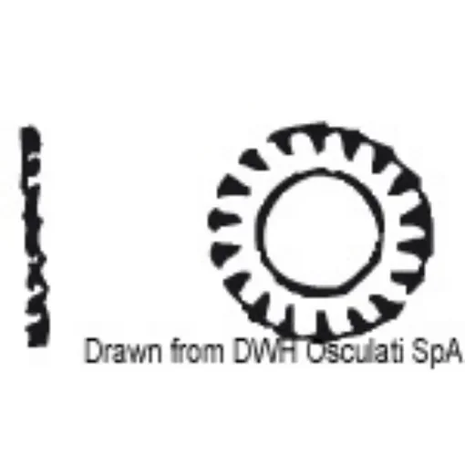 Osculati - Serrated lock washer 10 AISI 304 DENT10 - A2-6798-10 product image
