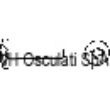 Machine screw - Large cheese head - cross head - round UNI 7687 DIN 7985 product image