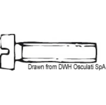 Osculati - Screw cylinder head w/slot 3x12 AISI 304 MET/TC3X12 - A2-84-03X012 product image