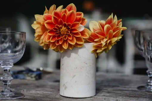 Albaperla marble Glass product image