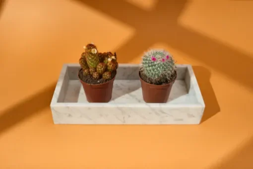 Rectangul Tray with Carrara Marble product image