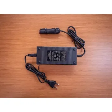220v Charger for Temo·1000 Motor product image