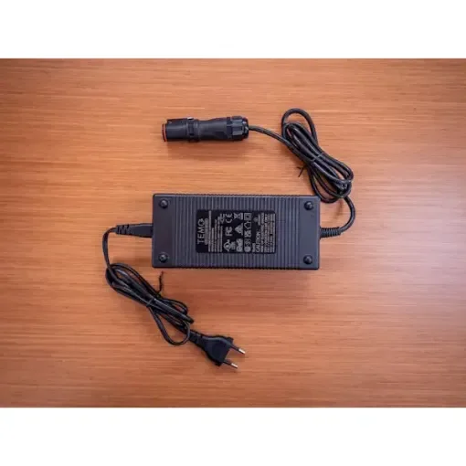 220v Charger for Temo·1000 Motor product image