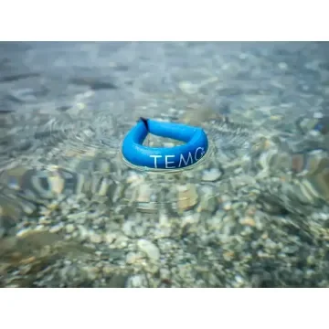 Magnetic Clé for Temo 1000 Motor product image