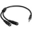 Startech.Com Slim Stereo Splitter Cable - 3.5mm Male To 2x 3.5mm Female - MUY1MFFS product image