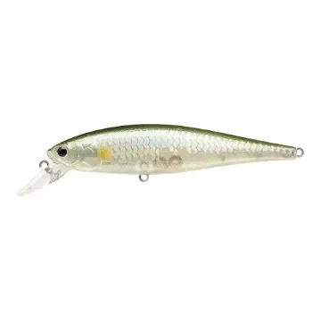 Pointer 100 | Lucky Craft product image