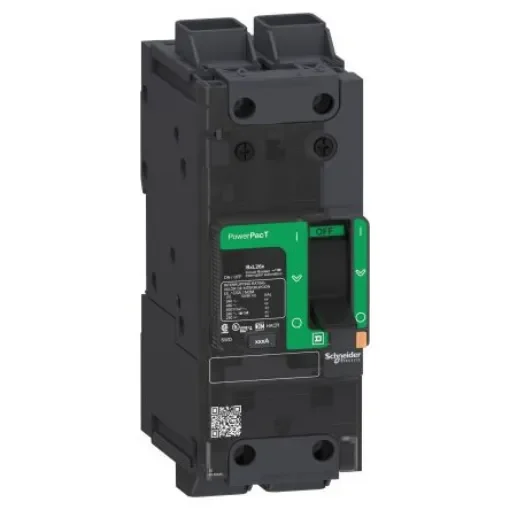 Schneider Electric, Powerpact Circuit breaker 2P 60A, Breaking Capacity 65 kA, Clip-On - BJL26060LU product image