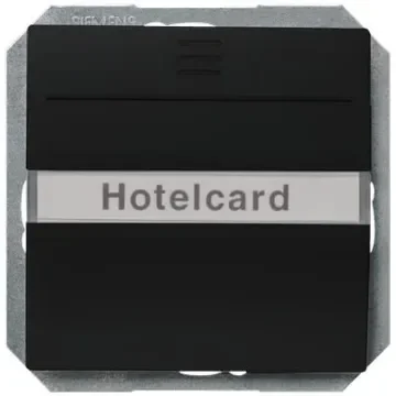 Siemens Black Key Card Switch, 5TG4820 Series - 5TG4820-0SB product image