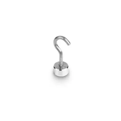 Kern 50 Calibration Weight - 347-016 product image