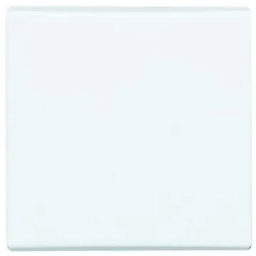 Busch Jaeger - ABB White 1 Gang Blanking Plate - 2106 - 32 product image
