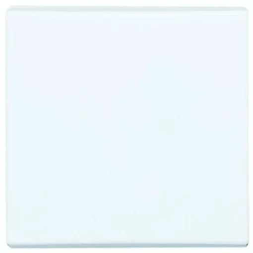 Busch Jaeger - ABB White 1 Gang Blanking Plate - 2106 - 32 product image