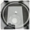 Vetus Robust Marine Coolant Water Filter Type 1900 with Stainless Steel Insert G2 1/2 Connection product image
