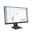 Picture of Lenovo Thinkvision E24-40 23.8" Monitor - 64Bamat1eu