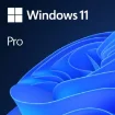 Picture of Microsoft Windows 11 Pro Oem - Fqc-10528