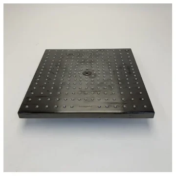 Hansgrohe E300 Raindance Matt Brushed Black Shower Head - 26238340 product image