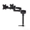 Picture of Startech.Com Desk-Mount Dual Monitor Arm - Articulating - Armdual