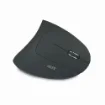 Picture of Acer Hp.Expbg.009 Mouse Office Right-Hand Rf Wireless Optical 1600 Dpi - Hp.Expbg.009