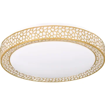 Picture of Modern Led Ceiling Plafond Activejet Boni 23W - Aje-Boni