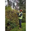 Picture of Dewalt - 18V Xr Brushless Hedge Trimmer 55cm  Carton - DCMHT563N-XJ