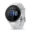 Picture of Garmin Forerunner 165 Mist Grey - 010-02863-21