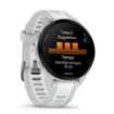 Picture of Garmin Forerunner 165 Mist Grey - 010-02863-21