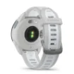 Picture of Garmin Forerunner 165 Mist Grey - 010-02863-21