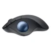 Picture of Logitech Ergo M575S - 910-007029