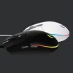Picture of Logitech G G203 Lightsync Gaming Mouse - 910-005796