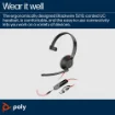Picture of Poly Blackwire 5210 Monaural Usb-C Headset +3.5mm Plug +Usb-C/A Adapter - 8X230aa