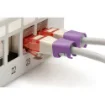Picture of Digitus Color Clips for Patch Cable - Violet - A-Cc-Vi