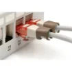 Picture of Digitus Color Clips for Patch Cable - Brown - A-Cc-Br