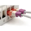 Picture of Digitus Color Clips for Patch Cable - Magenta - A-Cc-Mg