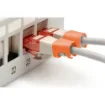Picture of Digitus Color Clips for Patch Cable - Orange - A-Cc-O