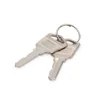 Picture of Digitus Keys for Loading Lockers (Trolleys) - Dn-45000-Key