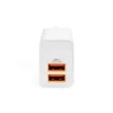 Picture of Digitus Usb Charger 2x Usb-A, 15.5W - Da-10061