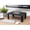 Picture of Digitus Ergonomic Monitor Riser - Da-90458
