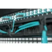 Picture of Digitus Cable Management Panel with Brush Entries for 483 Mm (19") Cabinets, 1U - Dn-97663