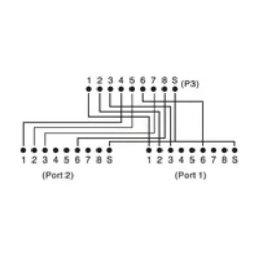 Picture of Digitus Cat 5e Patch Cable Adapter, 2x Cat 5e, Shielded - Dn-93904