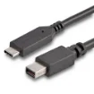Picture of Startech.Com 6 Ft. (1.8 M) Usb-C To Mini Displayport Cable - 4K 60Hz - Black - Cdp2mdpmm6b