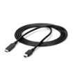 Picture of Startech.Com 6 Ft. (1.8 M) Usb-C To Mini Displayport Cable - 4K 60Hz - Black - Cdp2mdpmm6b