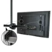 Picture of Startech.Com Tv Ceiling Mount - Full-Motion Universal Hanging Single Screen Mount with Adjustable Telescopic Short Pole - Tilt / Swivel - Vesa Bracket for 32”-75" Displays - Fpceilptbsp