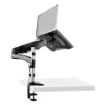 Picture of Startech.Com Desk Mount Laptop Arm - Full Motion Articulating Arm for Laptop or Single 34" Monitor - Vesa Mount Laptop Tray Bracket - Ergonomic Adjustable Notebook Stand - Desk-Clamp - ARMUNONB1