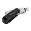 Picture of Sandisk SDIX60N-256G-GN6NE Usb Flash Drive 256 Gb 3.2 Gen 1 (3.1 Gen 1) Grey, Silver - SDIX60N-256G-GN6NE