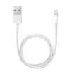 Picture of Apple Lightning To Usb Cable (0.5 M) - ME291ZM/A