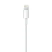 Picture of Apple Lightning To Usb Cable (2 M) - MD819ZM/A